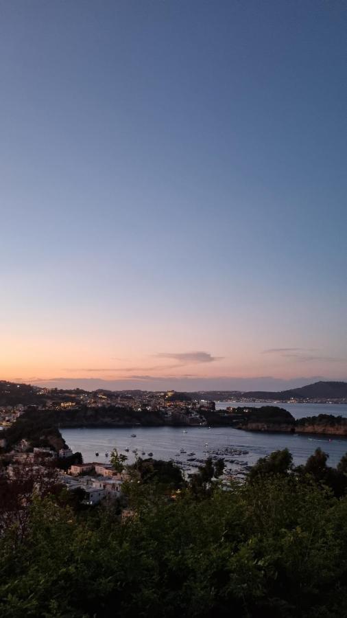Holiday home Alma Flegrea Bacoli